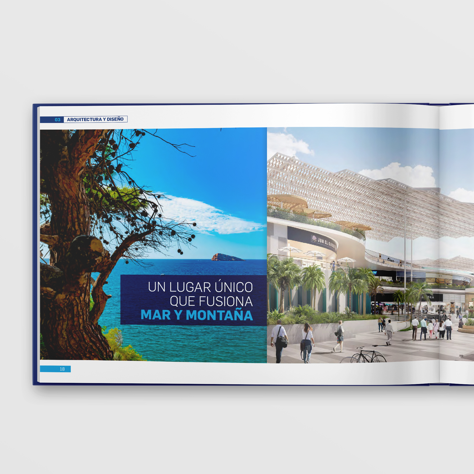 Diseño Editorial Brochure